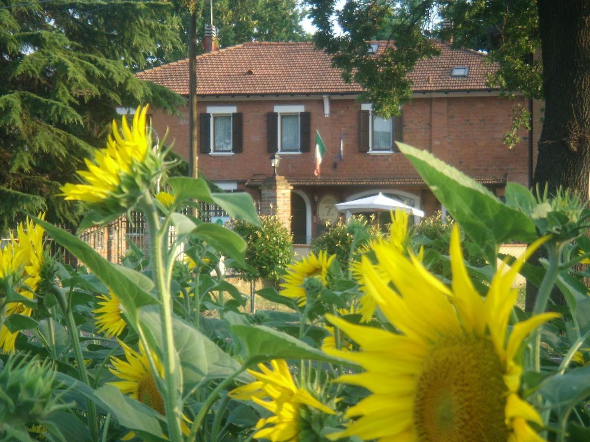 Le Tuie Villa Bolonia Exterior foto